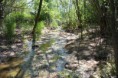 /album/prieskum-pravdepodobnej-environmentalnej-zataze-horne-nastice-odkalisko/tok-pod-odkaliskom-jpg/